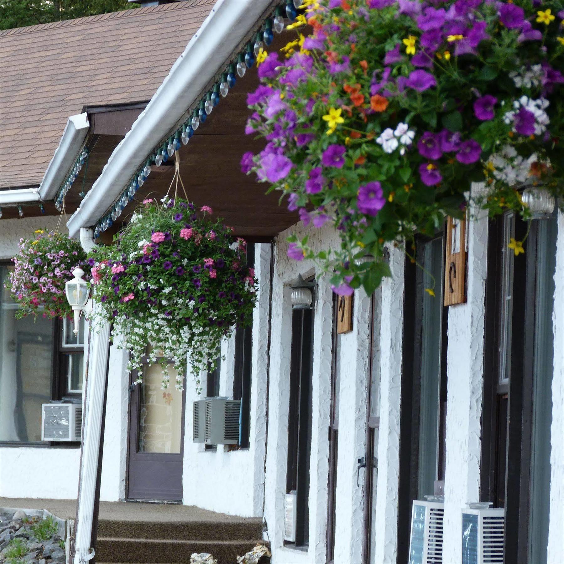 Motel Des Pays D'En Haut Val-David Exterior foto